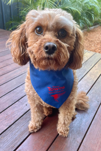 Dog Bandanna (Small)