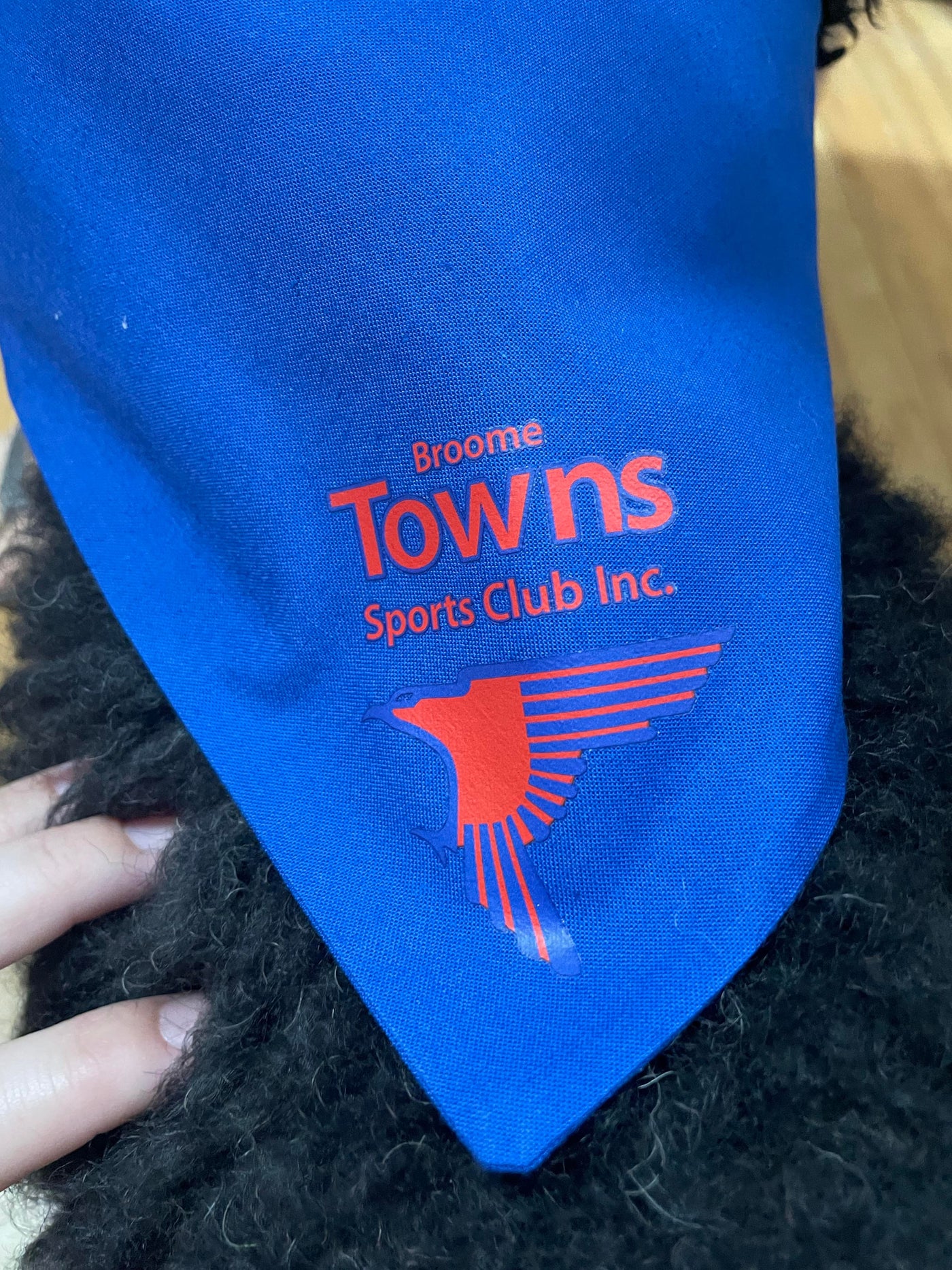 Dog Bandanna (Small)